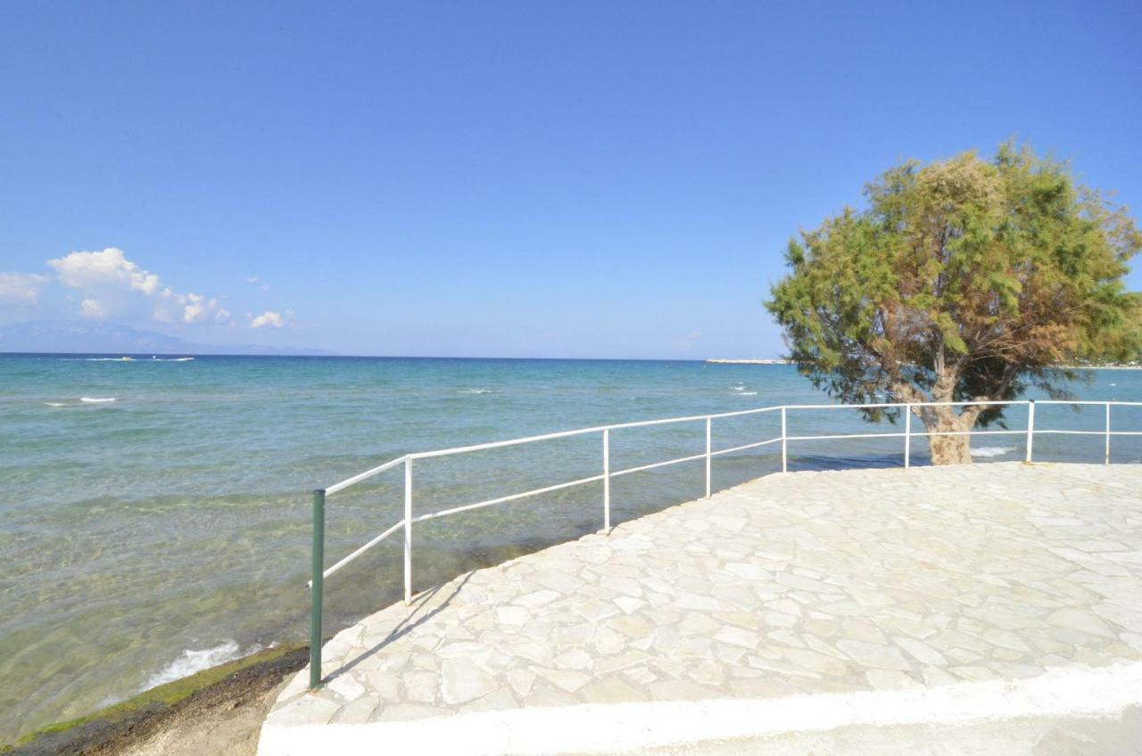 אליקאנאס Oasis Beachfront Studios & Apartments, By Zantewize מראה חיצוני תמונה